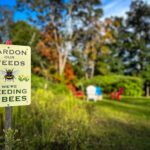 Photo Aug 29 2023, 5 14 03 PM